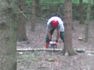 holz_10