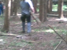 holz_11