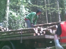 holz_12
