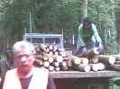 holz_13