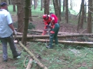 holz_9
